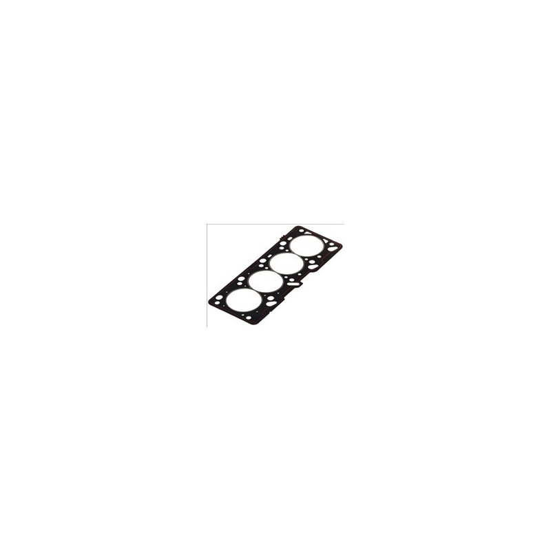 CILINDRŲ GALVUTĖS TARPINĖ FORD     30-027479-00