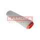 ORO FILTRAS BMW    F207801