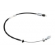 Sankabos lynas  01441558