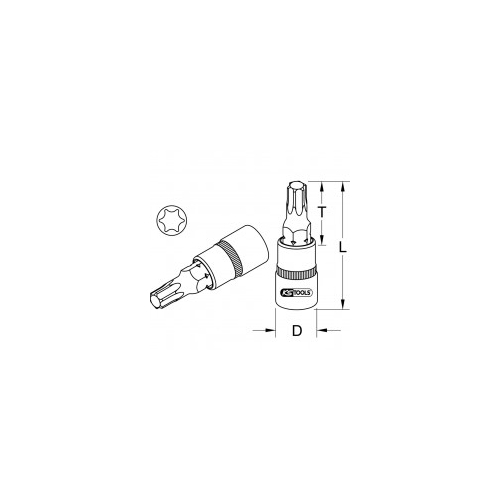 Galvutė 1/4  nuimama su antgaliu Torx T8